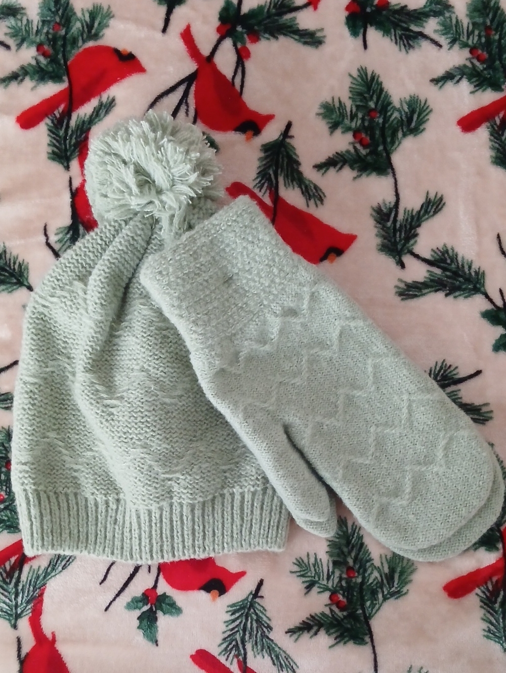 Women's Mint Pom Pom Beanie and Mittens Set